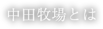 中田牧場とは