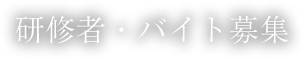 研修者・バイト募集